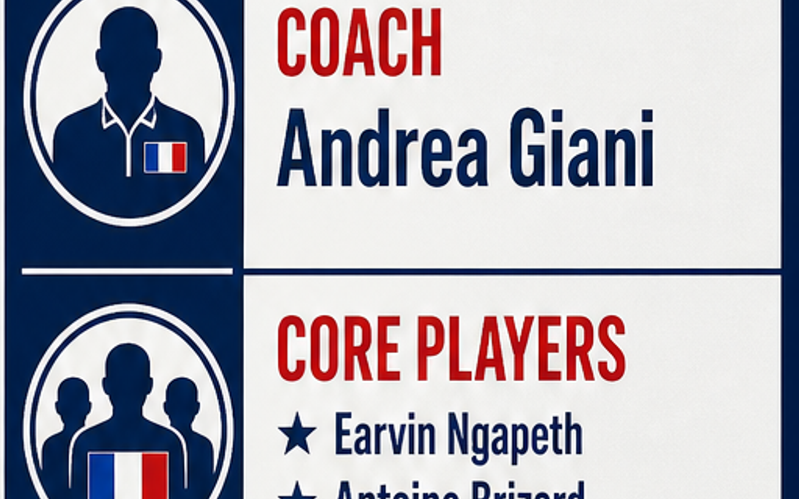 France Men's National Volleyball Team visual team brief