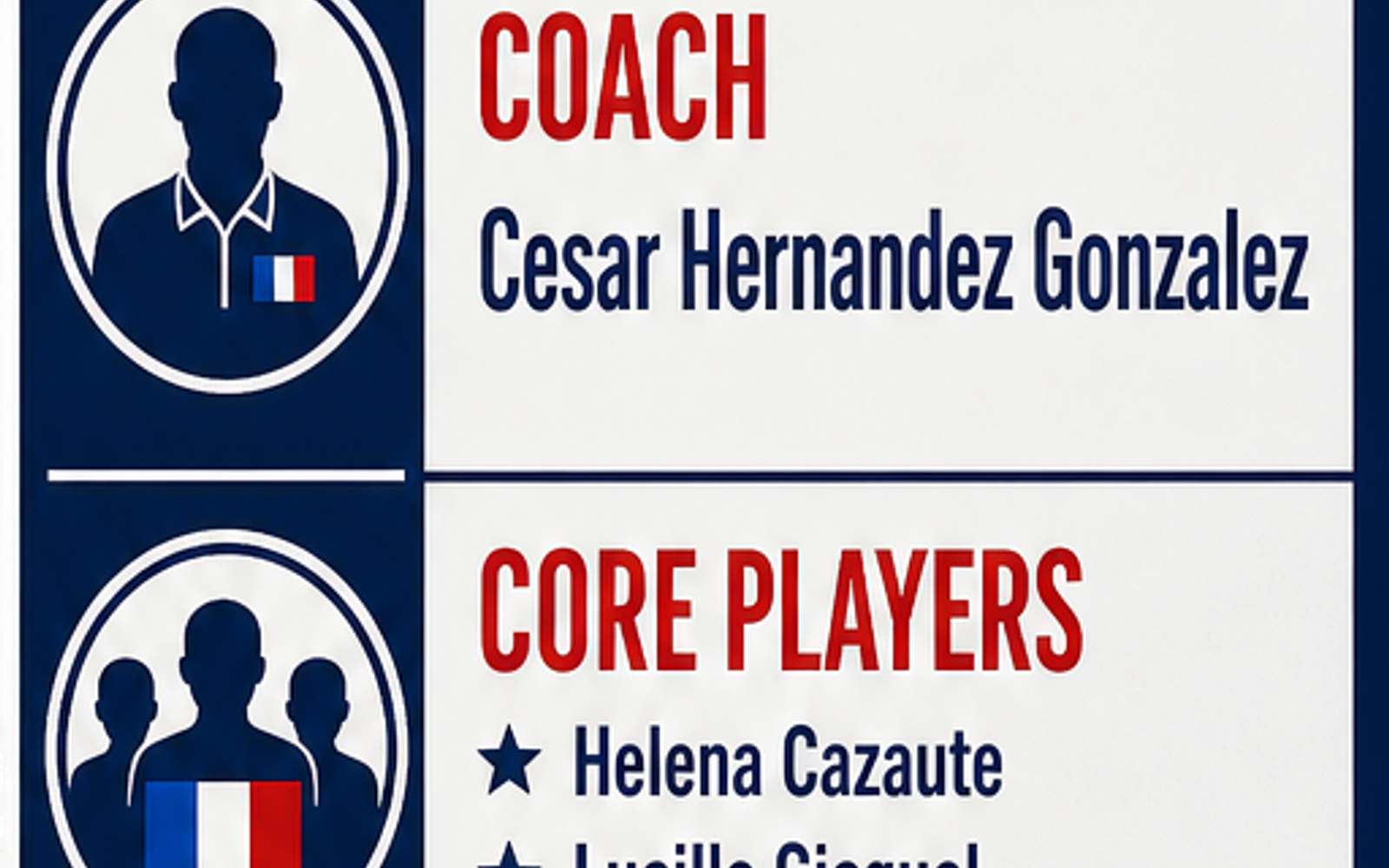 France Women's National Volleyball Team visual team brief
