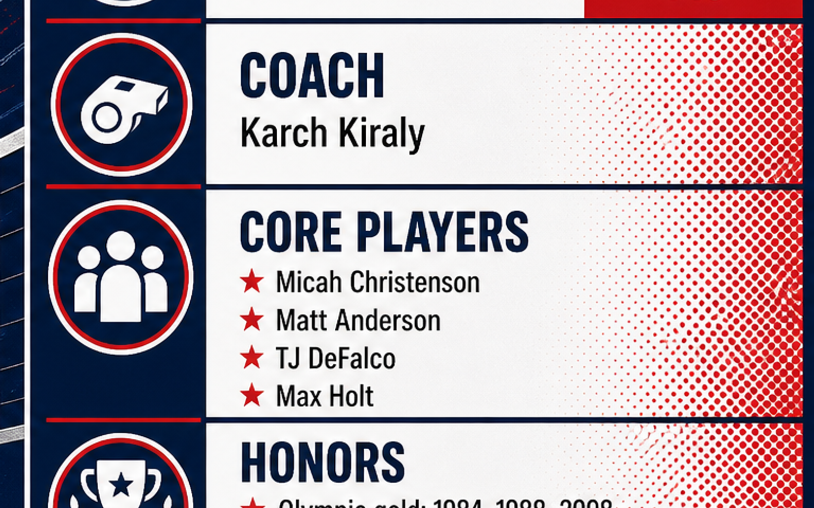 United States Men's National Volleyball Team visual team brief